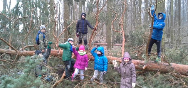 Kroužek 13.1.2018 – Les – stopy…