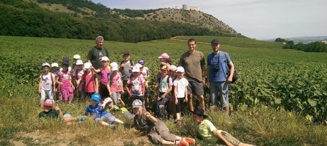 Kroužek – výlet na Pálavu – 16.6.2018 Kroužek – výlet na Pálavu – 16.6.2018